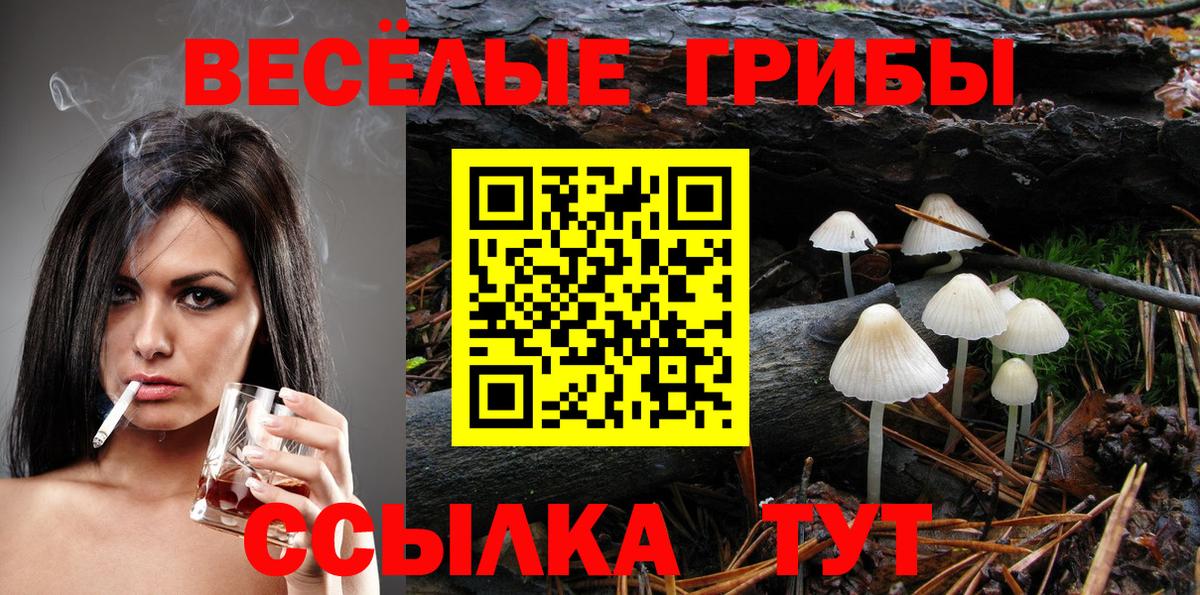 Псилоцибиновые грибы мухоморы Лысьва
